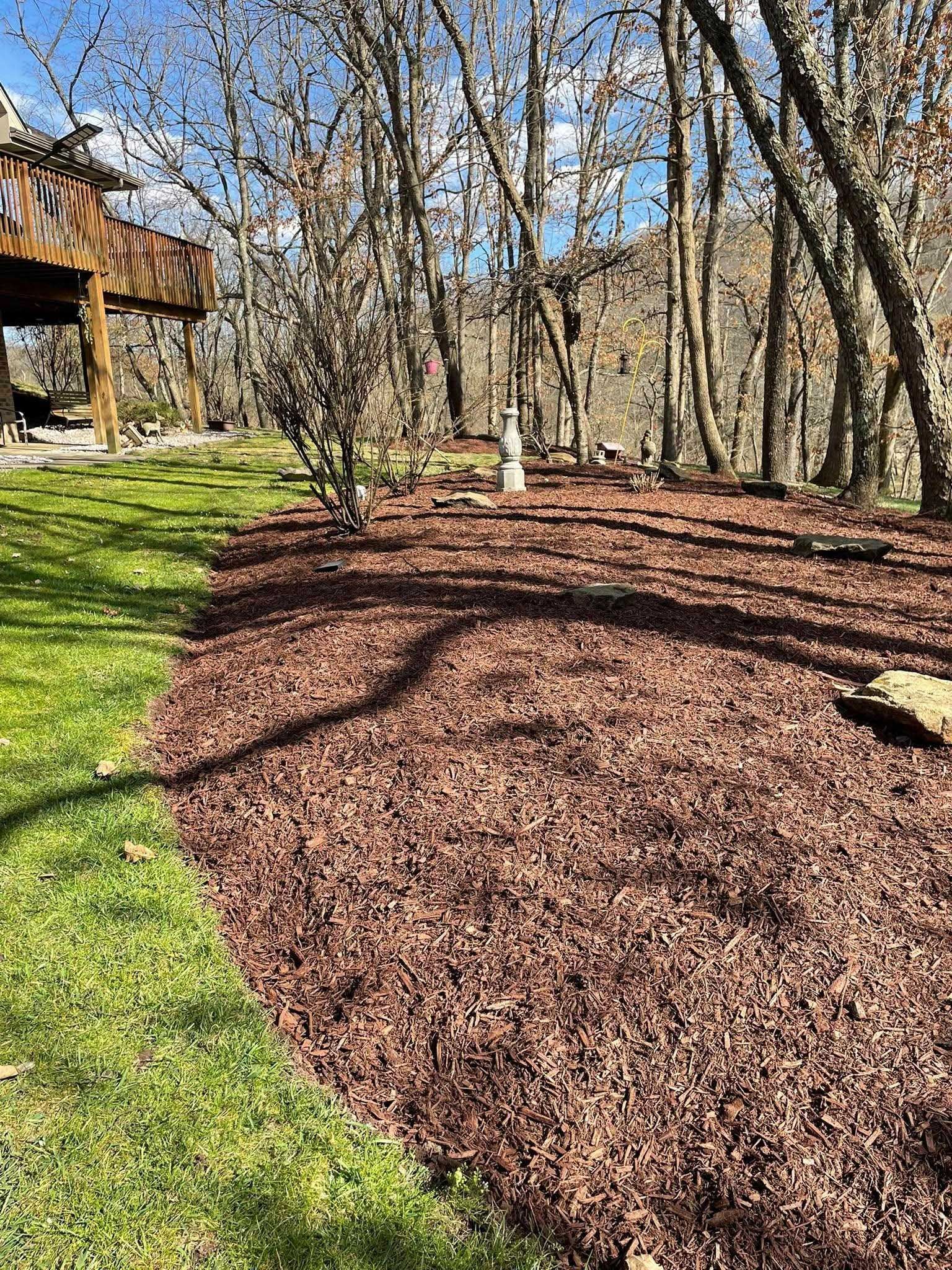 Lush brown mulch borders a grassy lawn, with bare trees in the background under a bright blue sky. A wooden structure is visible on the left.