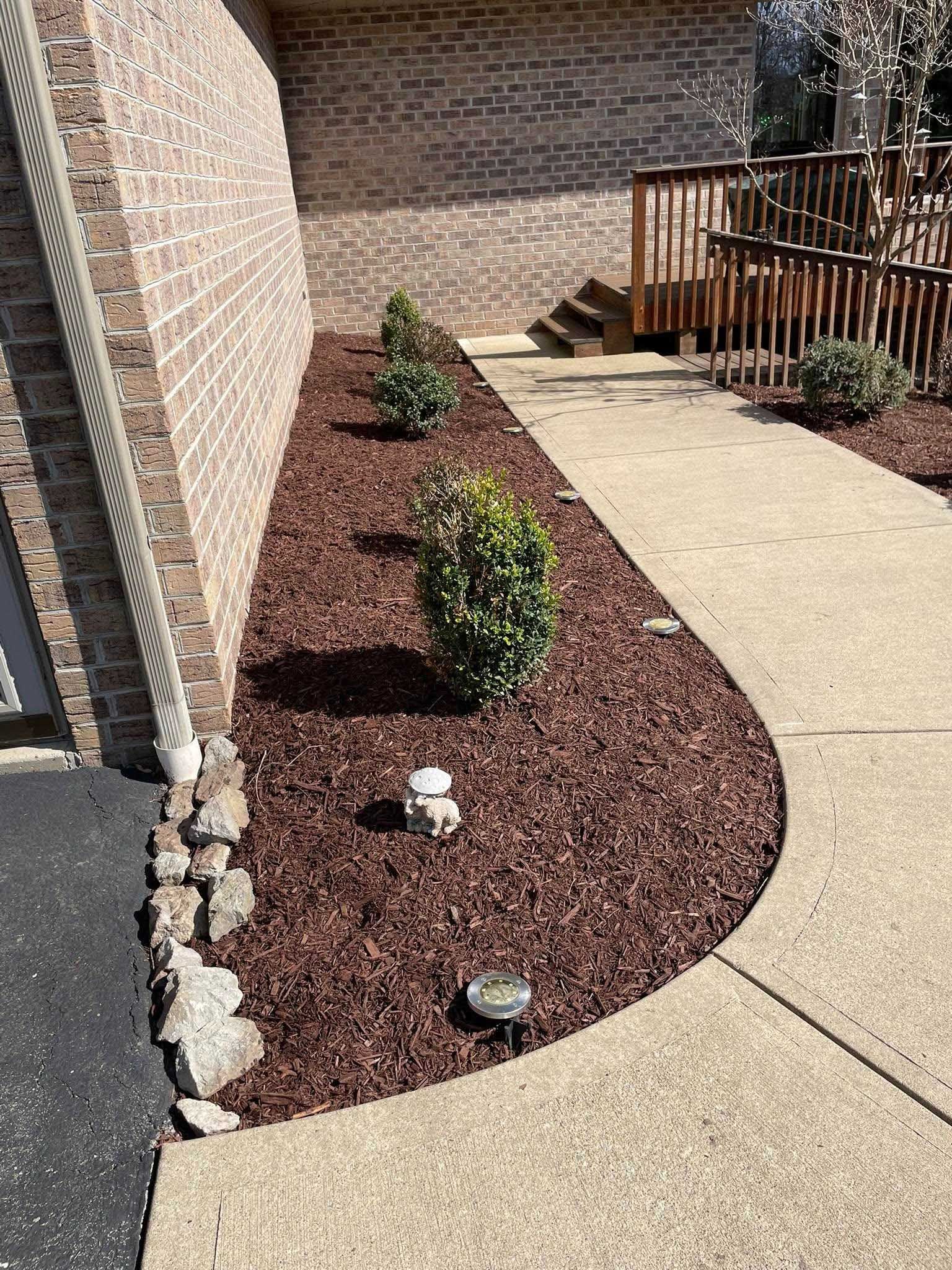 Brick building with a mulch-covered flower bed. Three green shrubs are planted in the bed next to a concrete walkway and ramp.