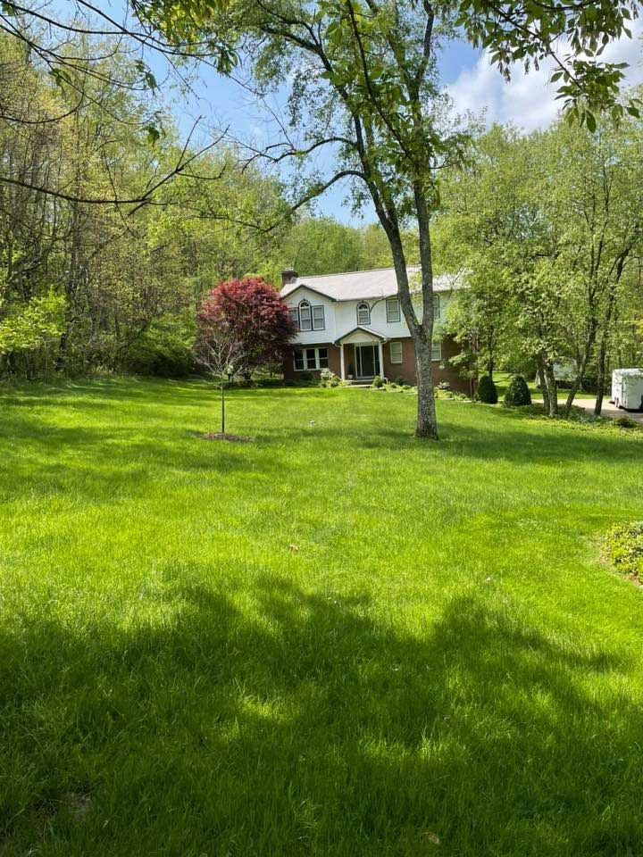 A two-story brick house with a white roof and a red-leaved tree in front, surrounded by a green lawn and trees.