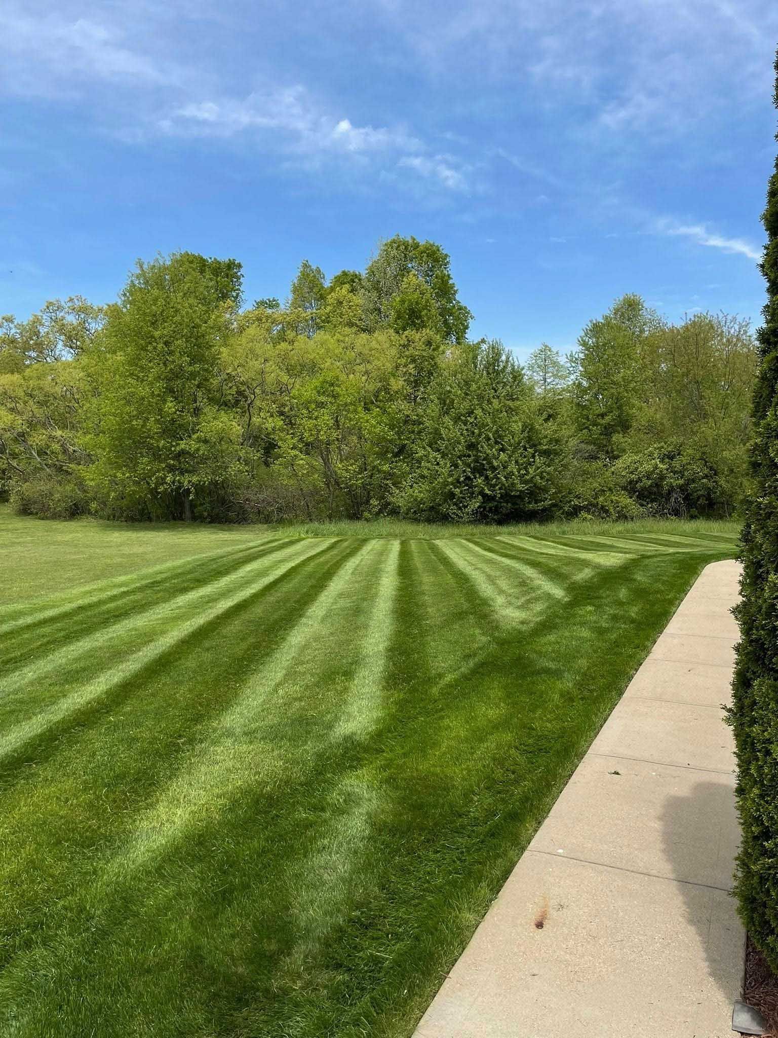 Lawn with fresh mowing stripes, next to a sidewalk and green shrub, with trees and blue sky in the background.