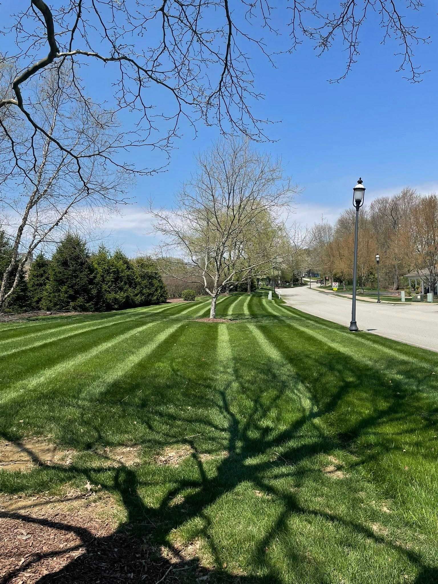 Green lawn with stripes, trees, and a blue sky. The sun casts a tree's shadow.