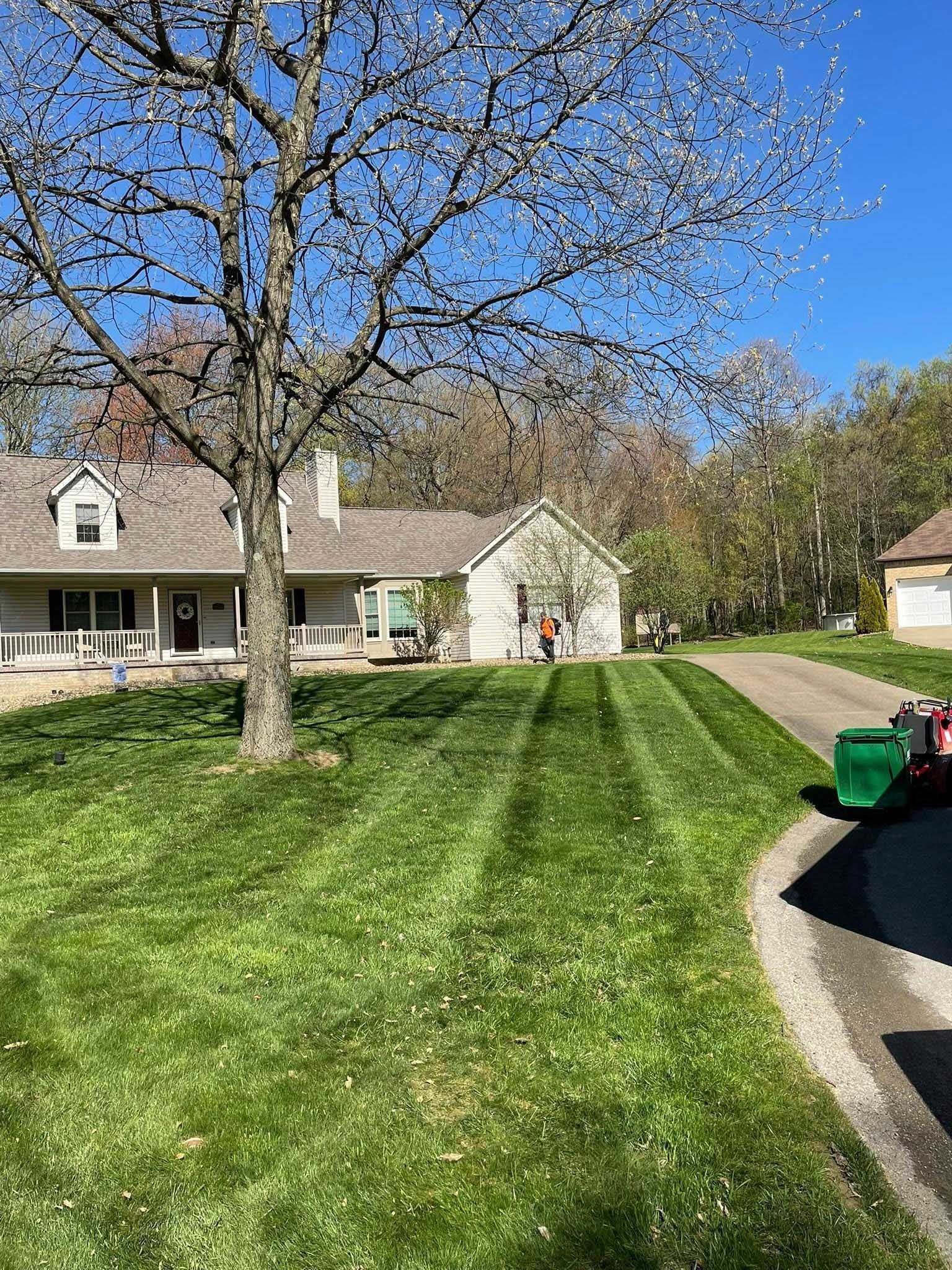 A freshly mowed lawn with a house in the background and a tree on the left. The sky is blue and the day is sunny.