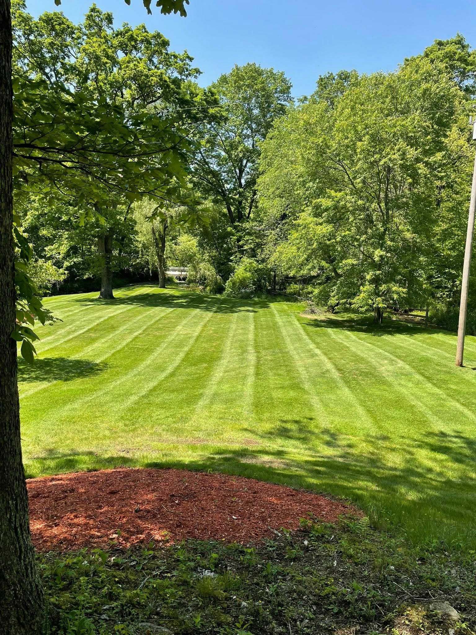 Lawn with striped green grass, surrounded by trees under a blue sky. A mulch bed is in the foreground.