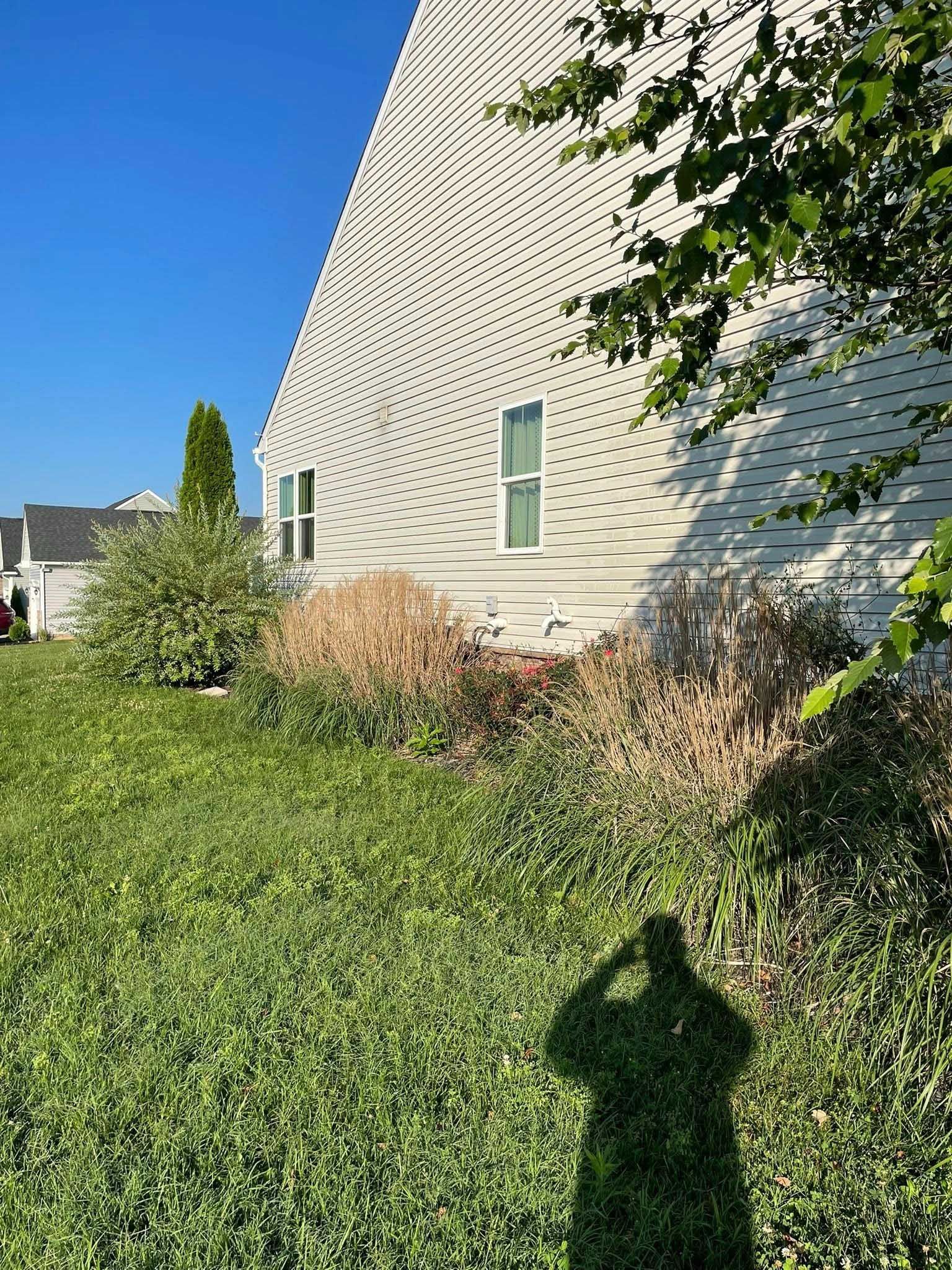 A white house with a spiral dotted pattern on its side. A grassy lawn with overgrown weeds is in the foreground; a shadow of a person is visible.