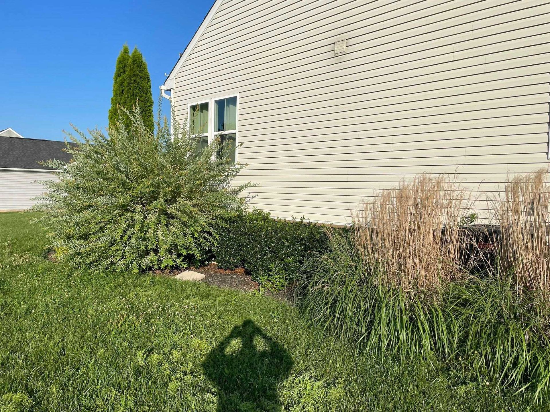 Side of a beige house with green landscaping and a tall green tree, under a blue sky. The viewer's shadow is cast on the grass in the foreground.