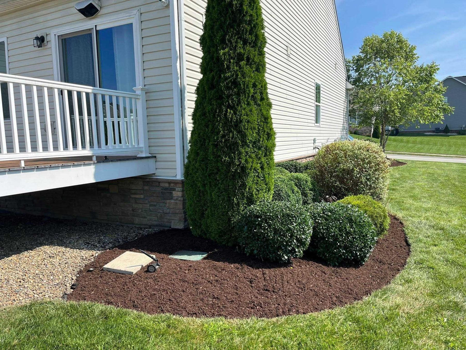 A landscaped yard with a tall, green tree and several bushes surrounded by brown mulch, next to a white deck.