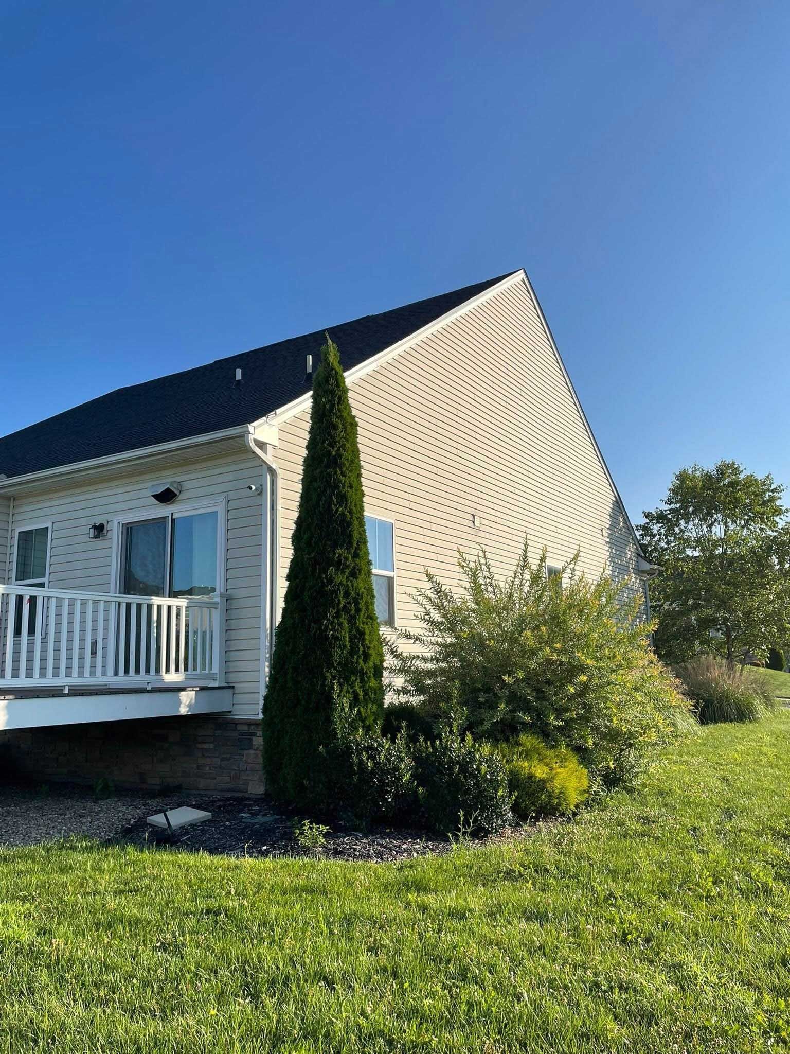 Backyard view of a house with a deck and tall, narrow evergreen tree against a clear blue sky.