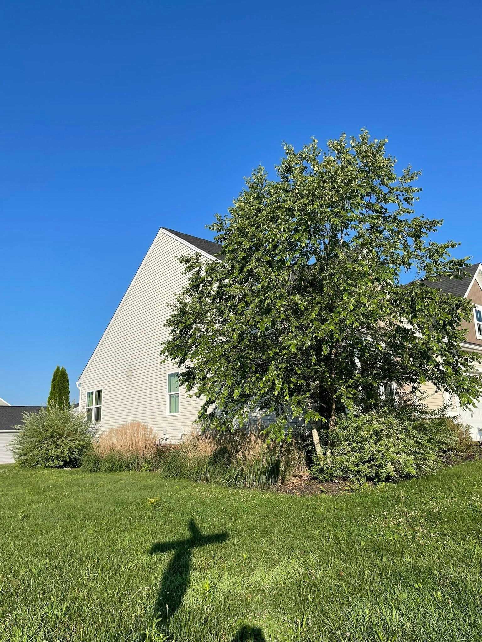 A tree casts a shadow on a grassy lawn in front of a two-story house under a bright blue sky.