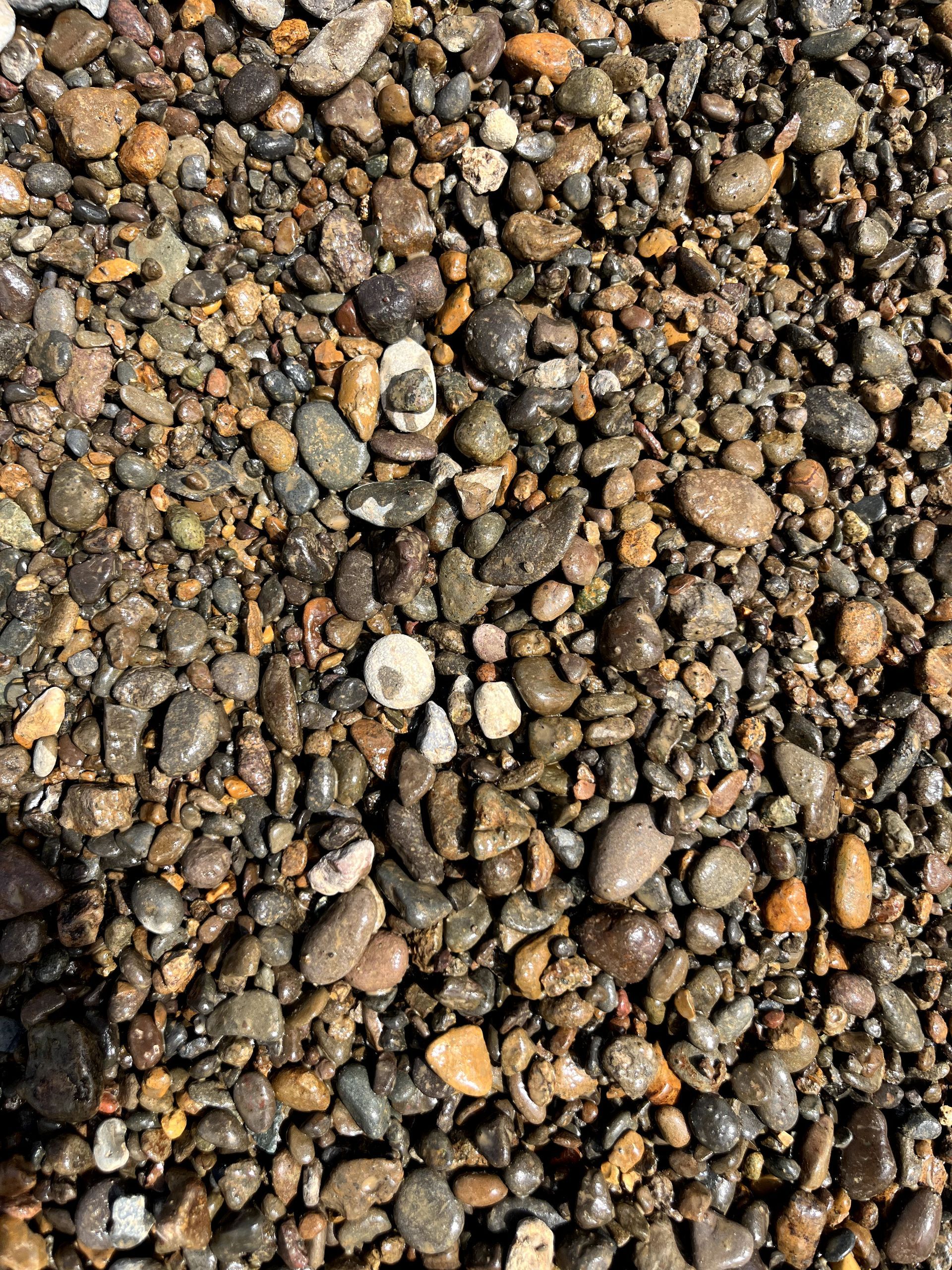 A close up of a pile of rocks on a beach.