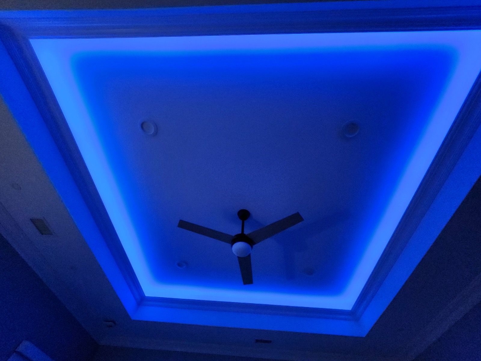 A recessed tray ceiling illuminated by vibrant blue LED strip lighting with a black ceiling fan in the center.