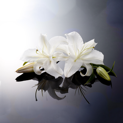 Cremation | Greene-Robertson Funeral Home | Sutton, WV