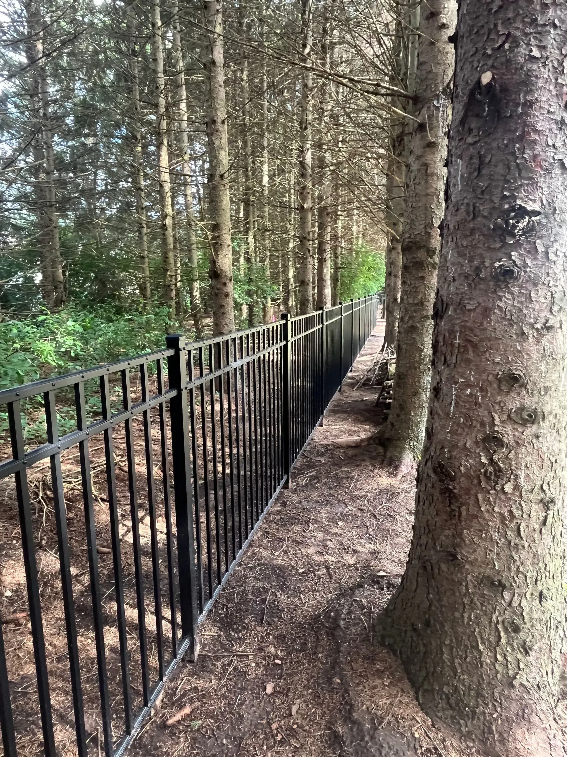 A black fence is surrounded by trees in a forest.