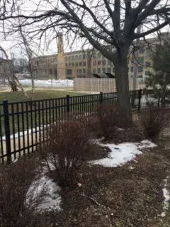 A fence with a tree in the foreground and a building in the background.