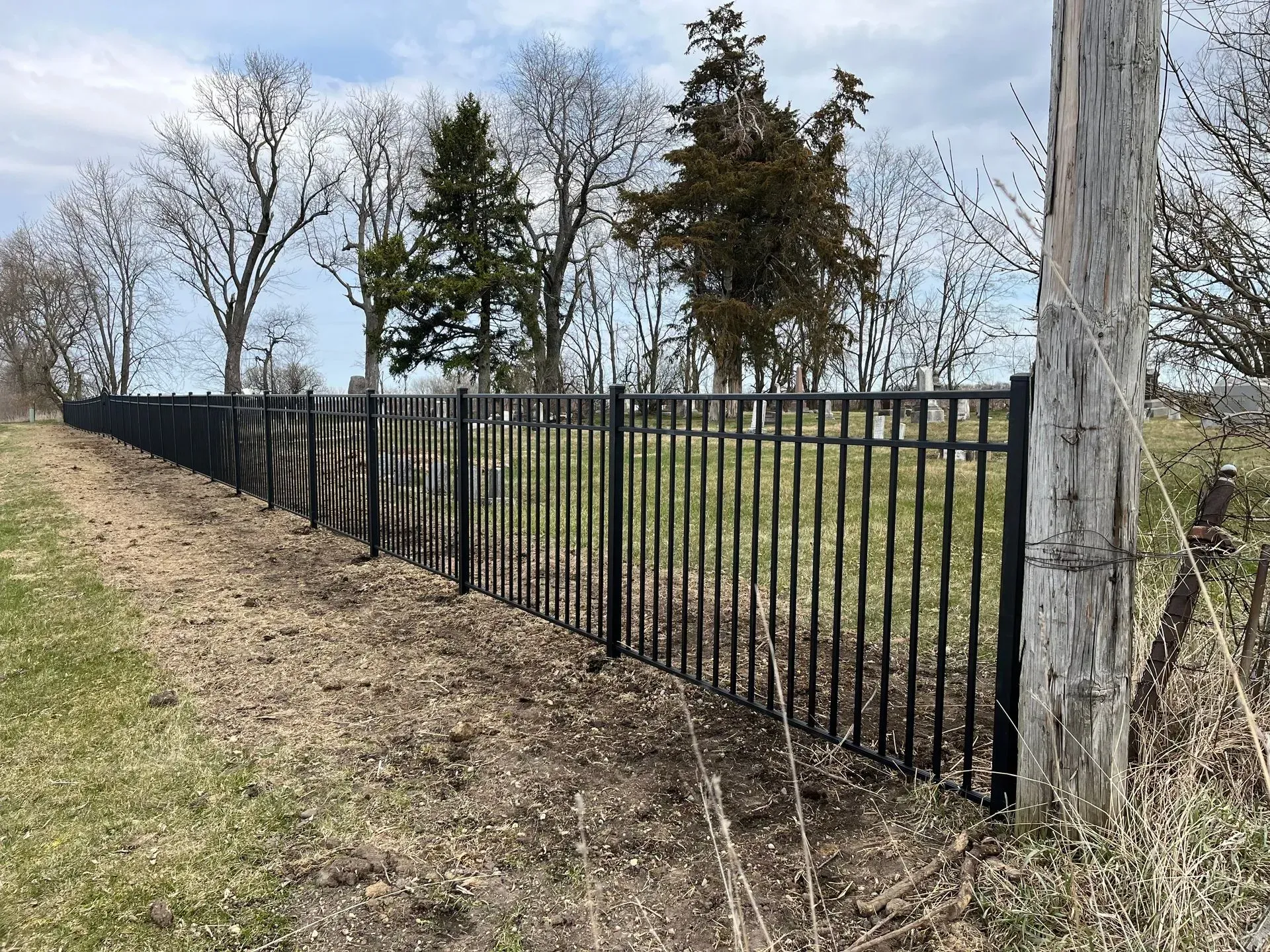A black fence surrounds a grassy field with trees in the background.