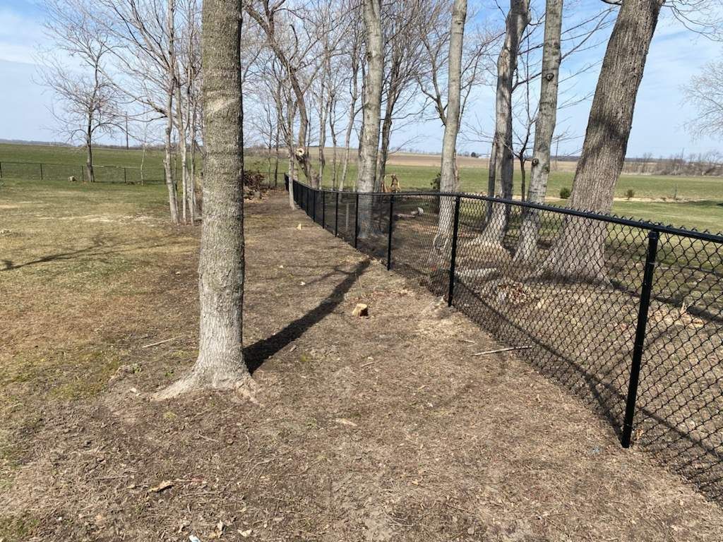 A chain link fence is surrounded by trees in a field.