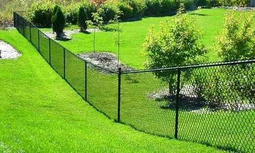 A black chain link fence surrounds a lush green lawn.