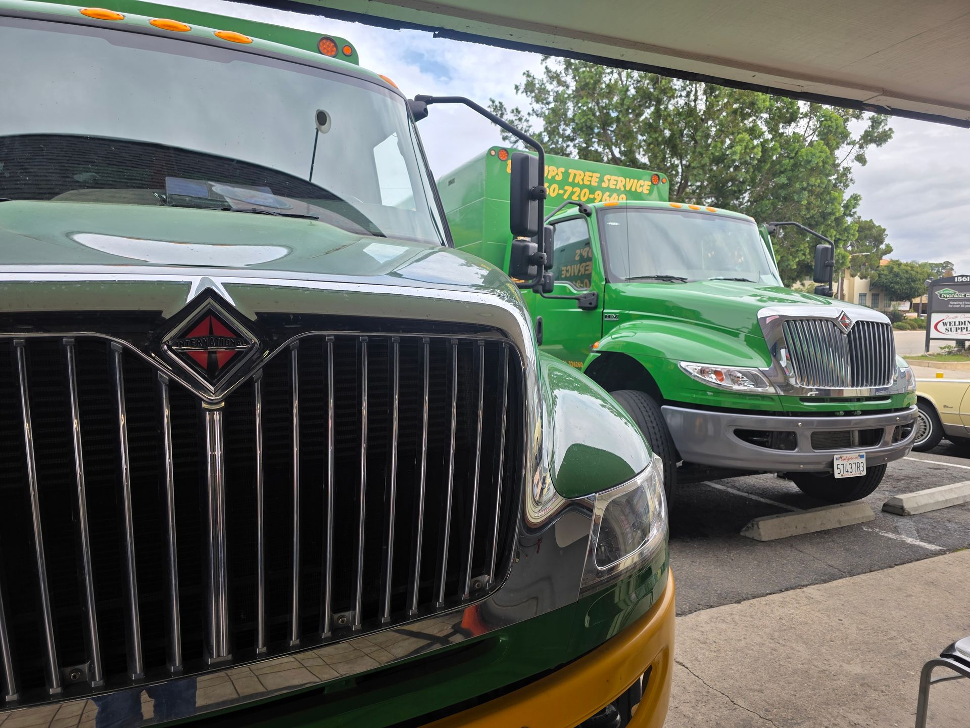 Two green semi-trucks parked side by side on a street, front grilles close to the camera.
