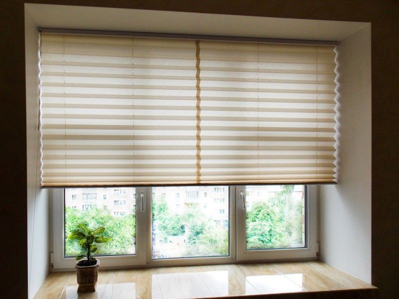 A window with blinds on it and a potted plant on the window sill.