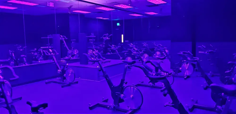 Fitness electrical lighting services