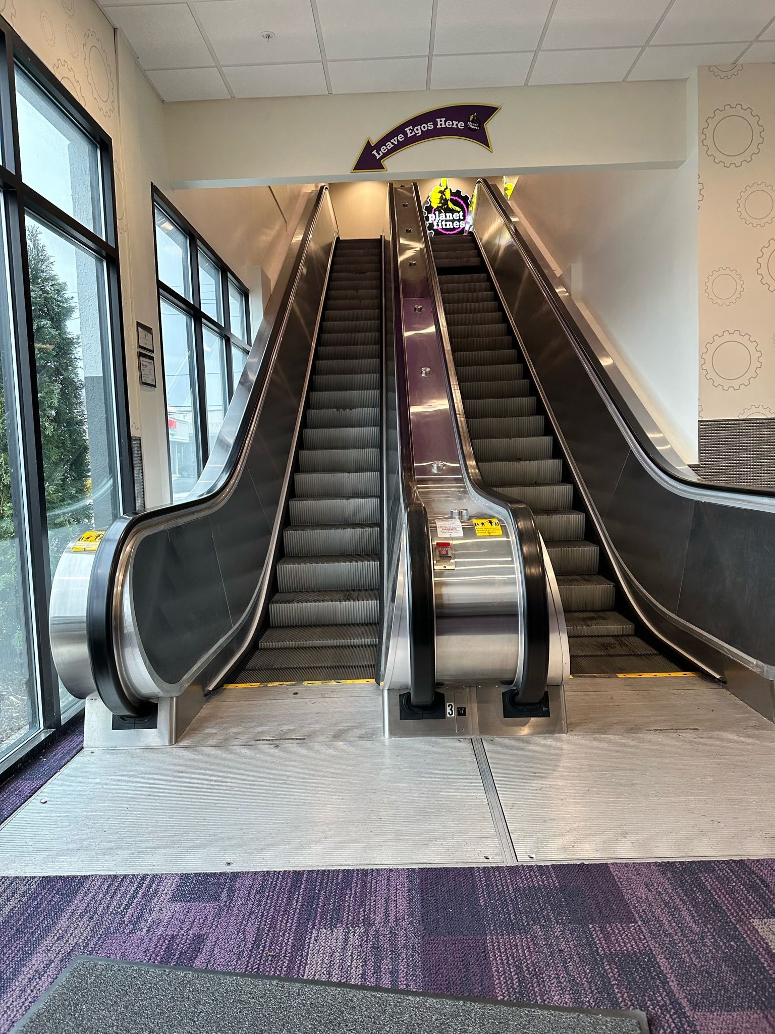 Indoor escalators in a hallway with purple carpeting and large windows, one escalator going up and one down