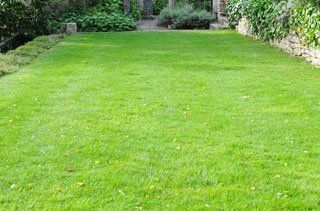 Lawn