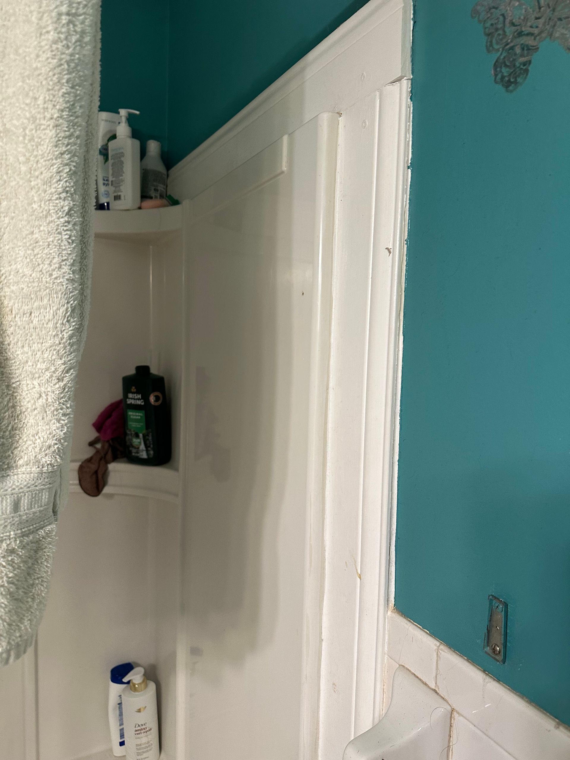 Narrow bathroom corner with white shelves, toiletries, and teal walls beside a shower curtain