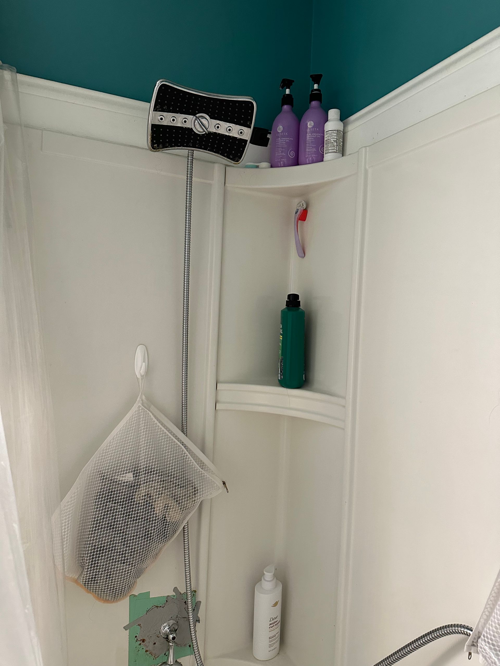 Shower corner with white caddy, hanging loofah, and shampoo bottles on a shelf with teal walls