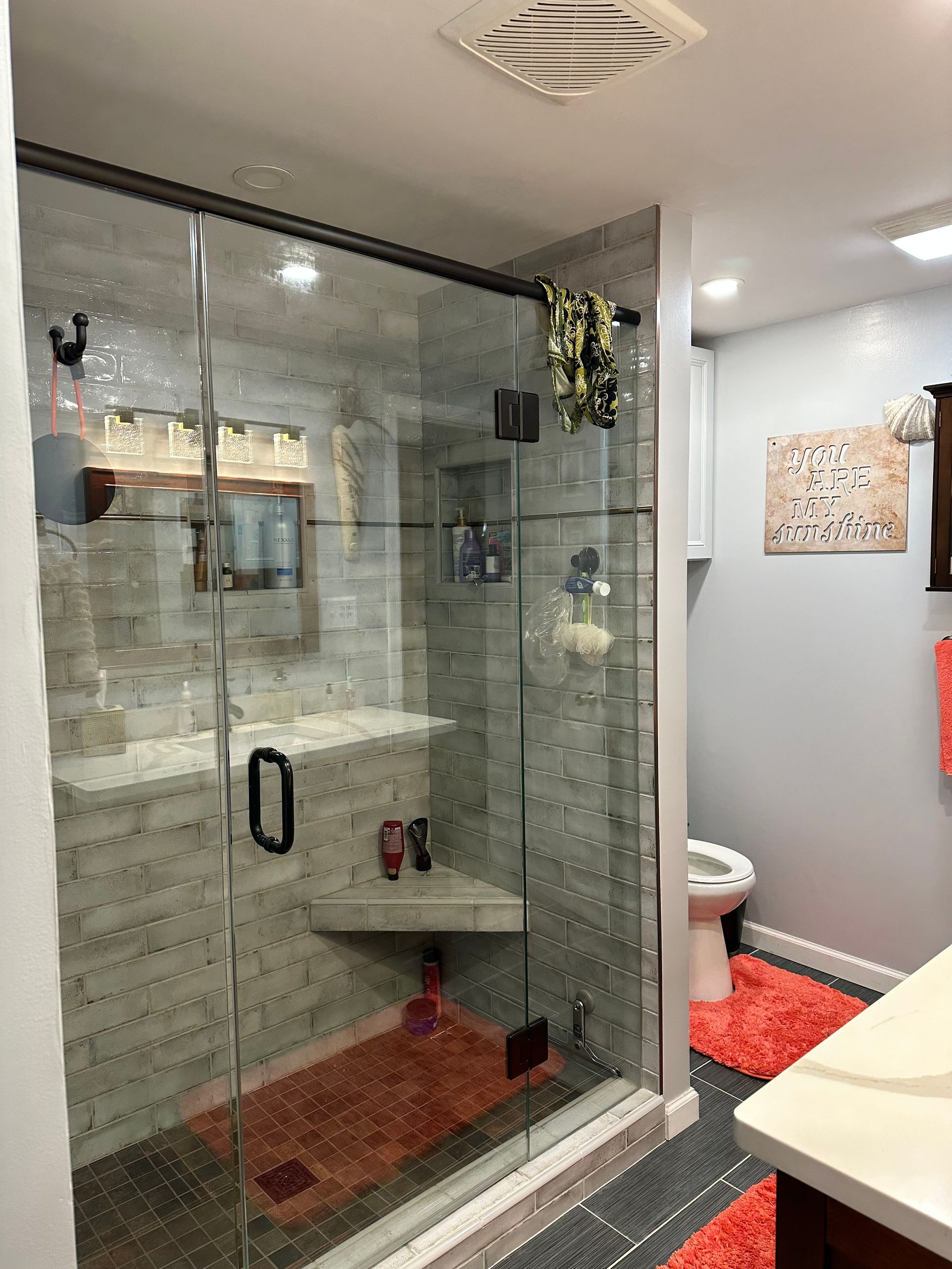 Modern bathroom with glass shower enclosure, white toilet, and orange rug