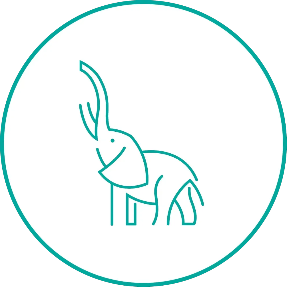 Teal line drawing of an elephant inside a teal circle on a white background