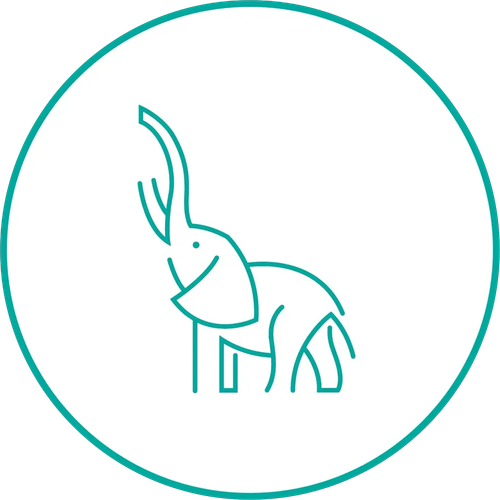 Teal line drawing of an elephant inside a teal circle on a white background