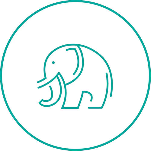 Teal line-art elephant inside a teal circle on a white background
