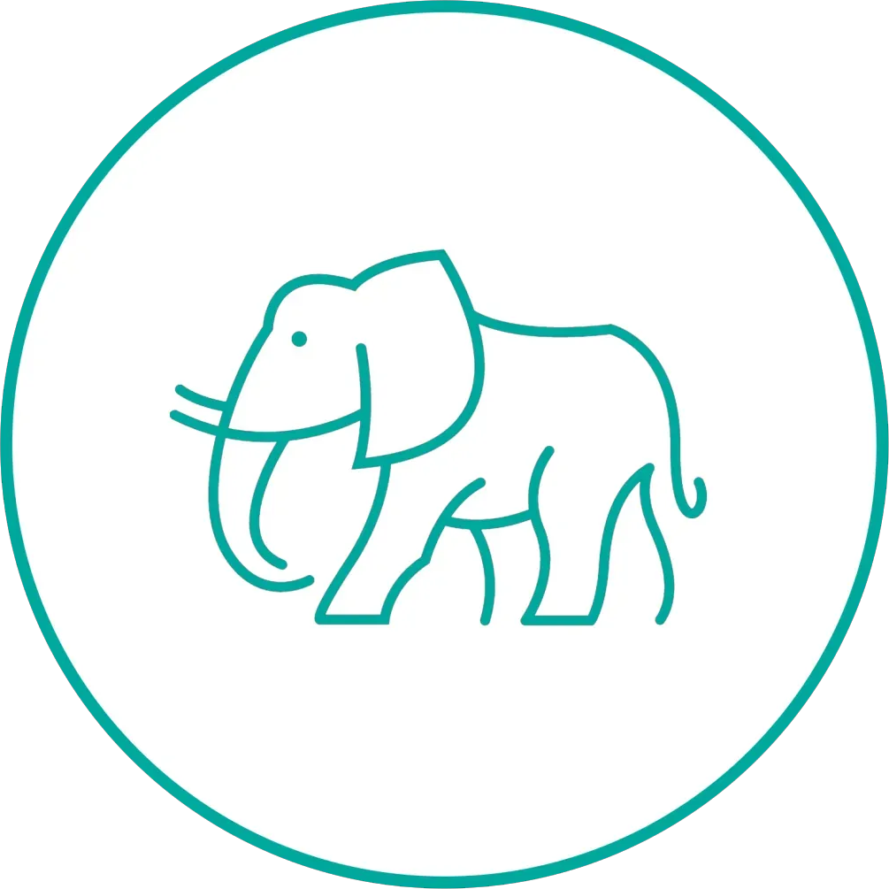 Teal line-art elephant inside a teal circle on a white background