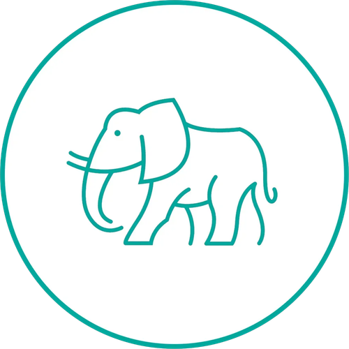 Teal line-art elephant inside a teal circle on a white background