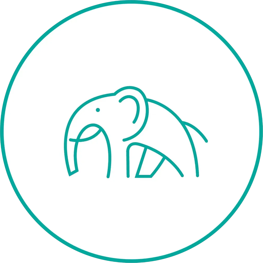 Turquoise line-art elephant logo inside a matching circular border