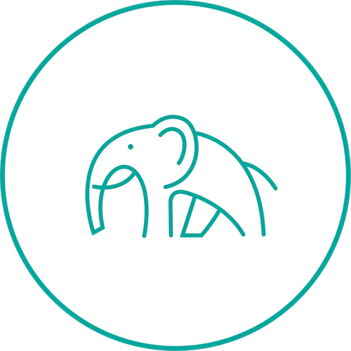Turquoise line-art elephant logo inside a matching circular border