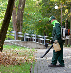 Leaf removal