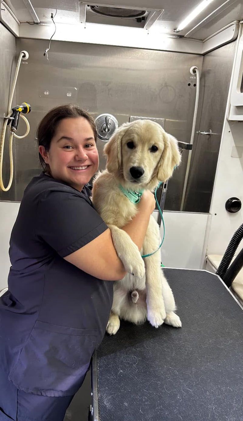Woman holding a golden retriever puppy at a grooming station; both smiling.