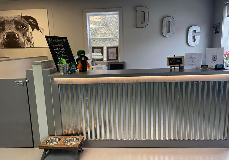 Dog daycare reception desk with corrugated metal front, dog art, and signage.
