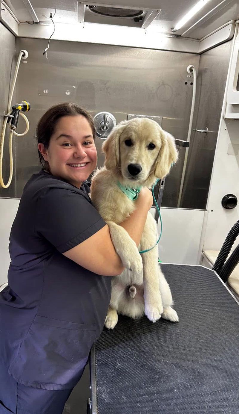 Woman holding golden retriever puppy in grooming salon.