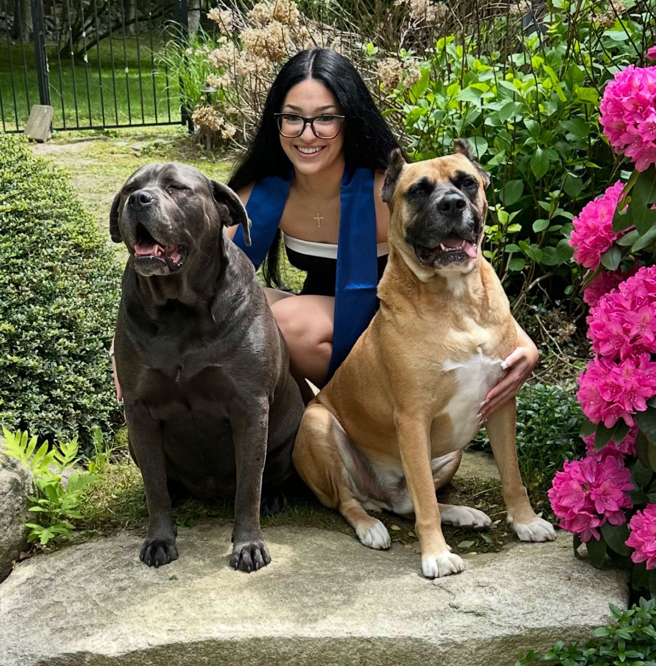 Woman with two large dogs outside, seated on a rock with pink flowers and greenery.