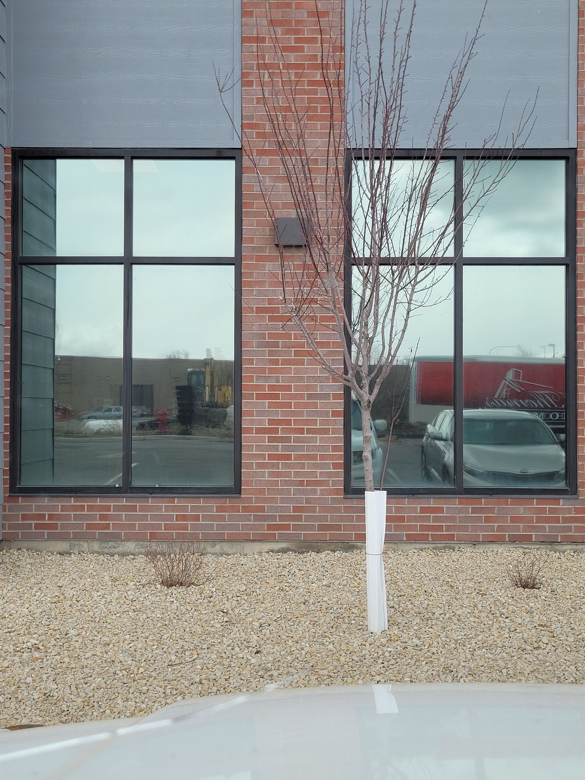 Two black-framed windows reflect the cloudy sky and surrounding parking lot. A bare tree stands between the windows, with red brick and tan gravel below.