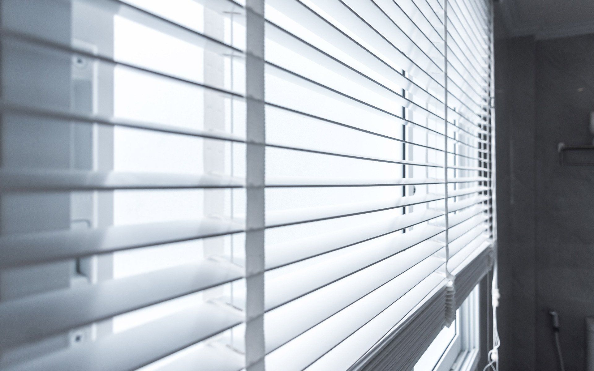 Shade Tree Blinds Window Treatment Greenville, SC