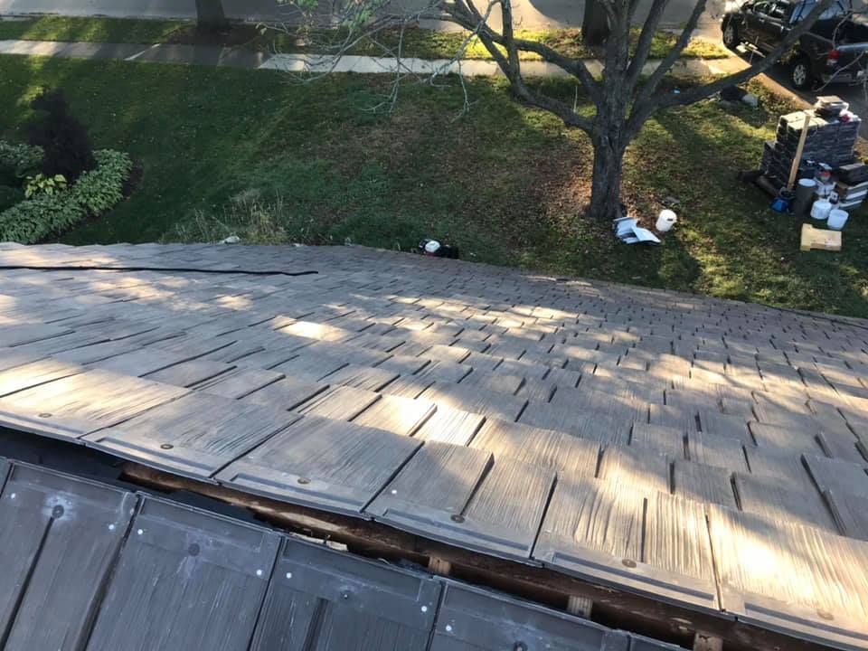 A cat is sitting on the roof of a house.
