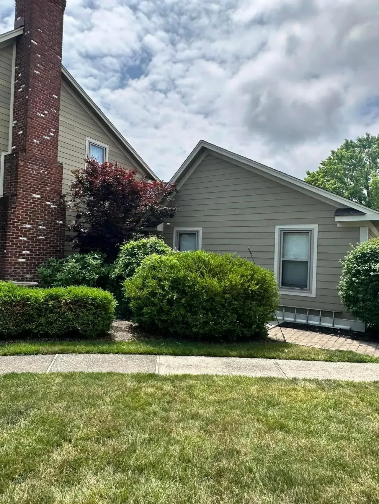 A house with a brick chimney and a lot of bushes in front of it.