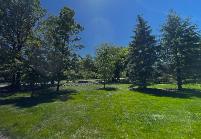 A lush green field surrounded by trees on a sunny day.