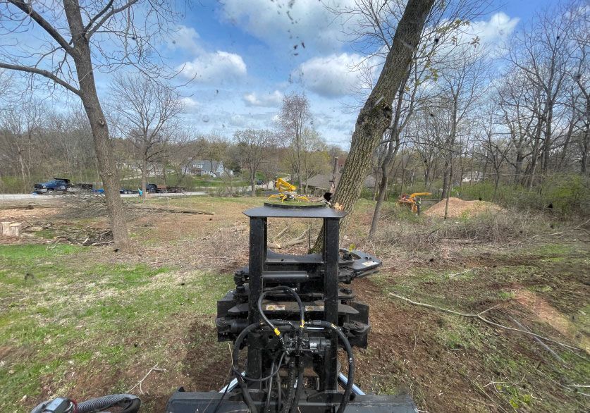 A machine is cutting a tree in the middle of a forest.