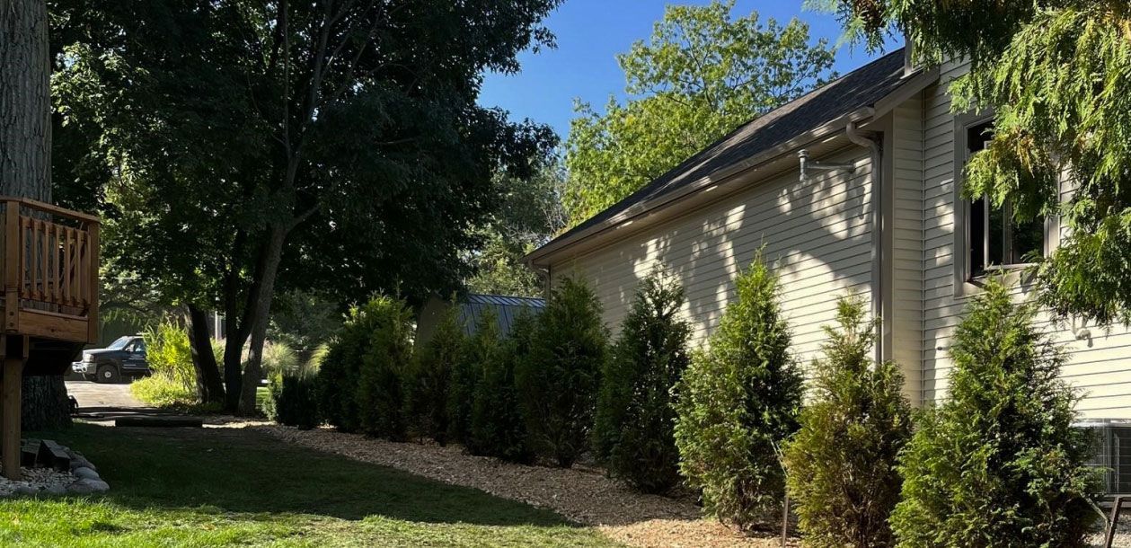 A house with a lot of bushes and trees in front of it.