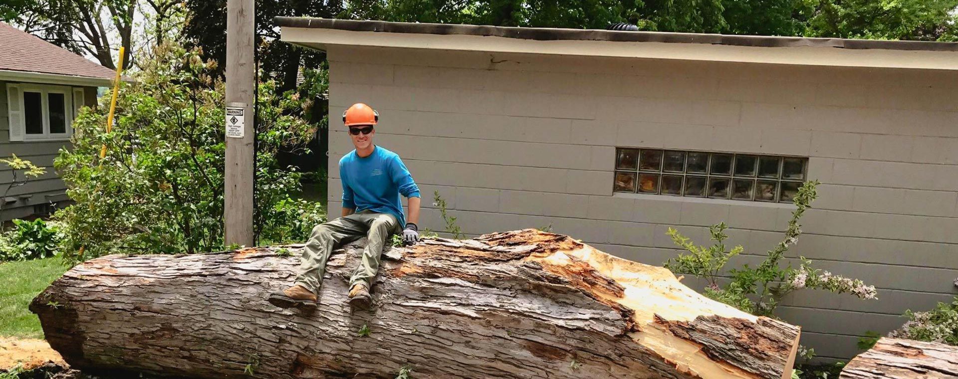 A man is sitting on top of a large log.