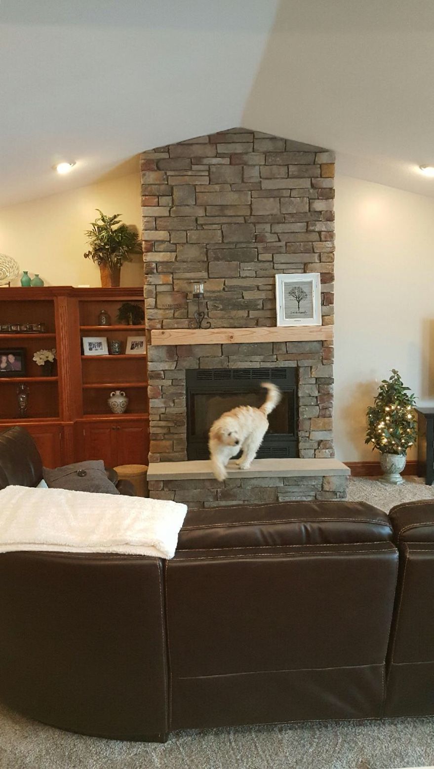 interior masonry project