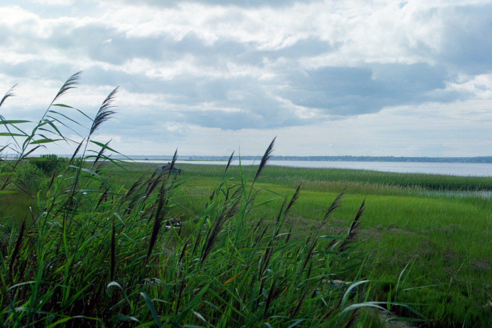 Southampton's wetland